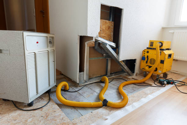 Best Dehumidification Services  in Beckett Ridge, OH