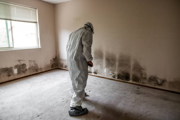 Best Asbestos and Lead Testing During Mold Inspection  in Beckett Ridge, OH